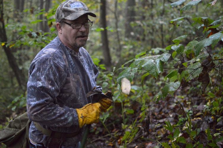 Reallife ginseng hunts are more satisfaction than reality show drama