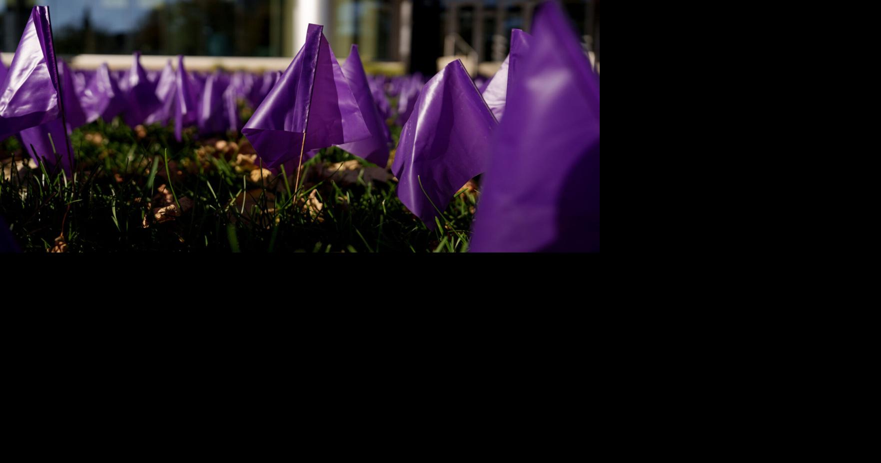 $700K in grant funds given to 5 orgs serving domestic violence victims across W.Va.