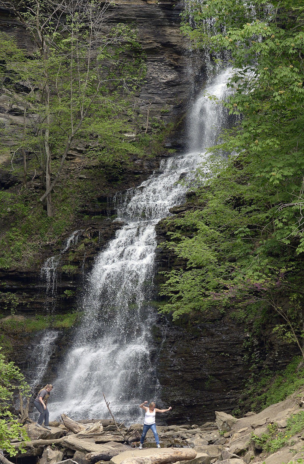 chelsey falls lower paxton township harrisburg