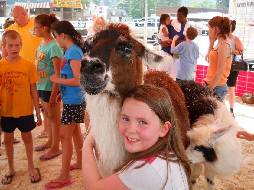 All American Petting Zoo Great American Petting Zoo Zoo animals