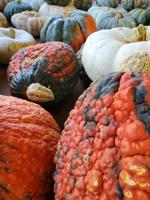 Good 2 Grow: Ten reasons why I love October