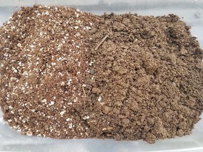 Good to Grow: Demystifying soils and potting medias | Gardening