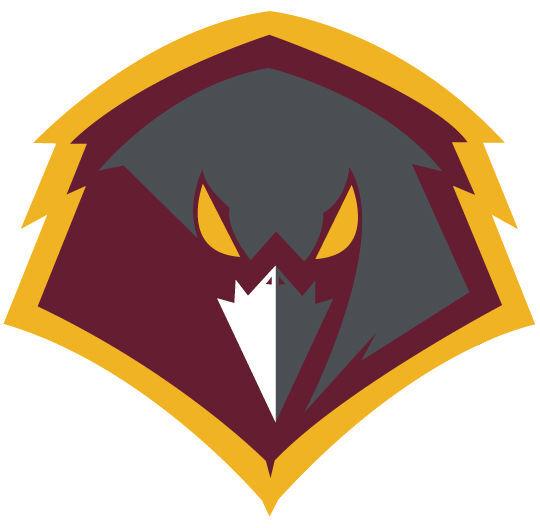 Does College Of Charleston Have Sports Teams