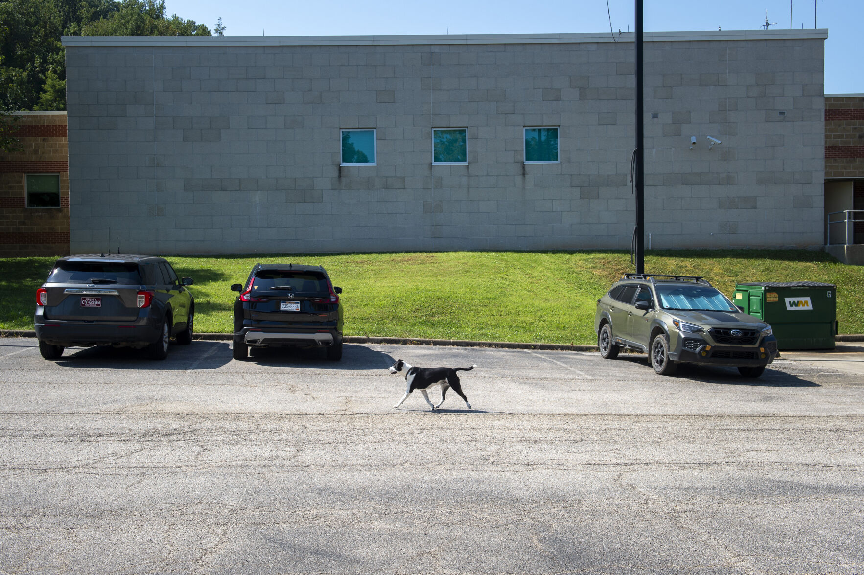 Meet Pip: Kanawha County's Metro 911 Rescue Dog Dispatcher | Kanawha ...