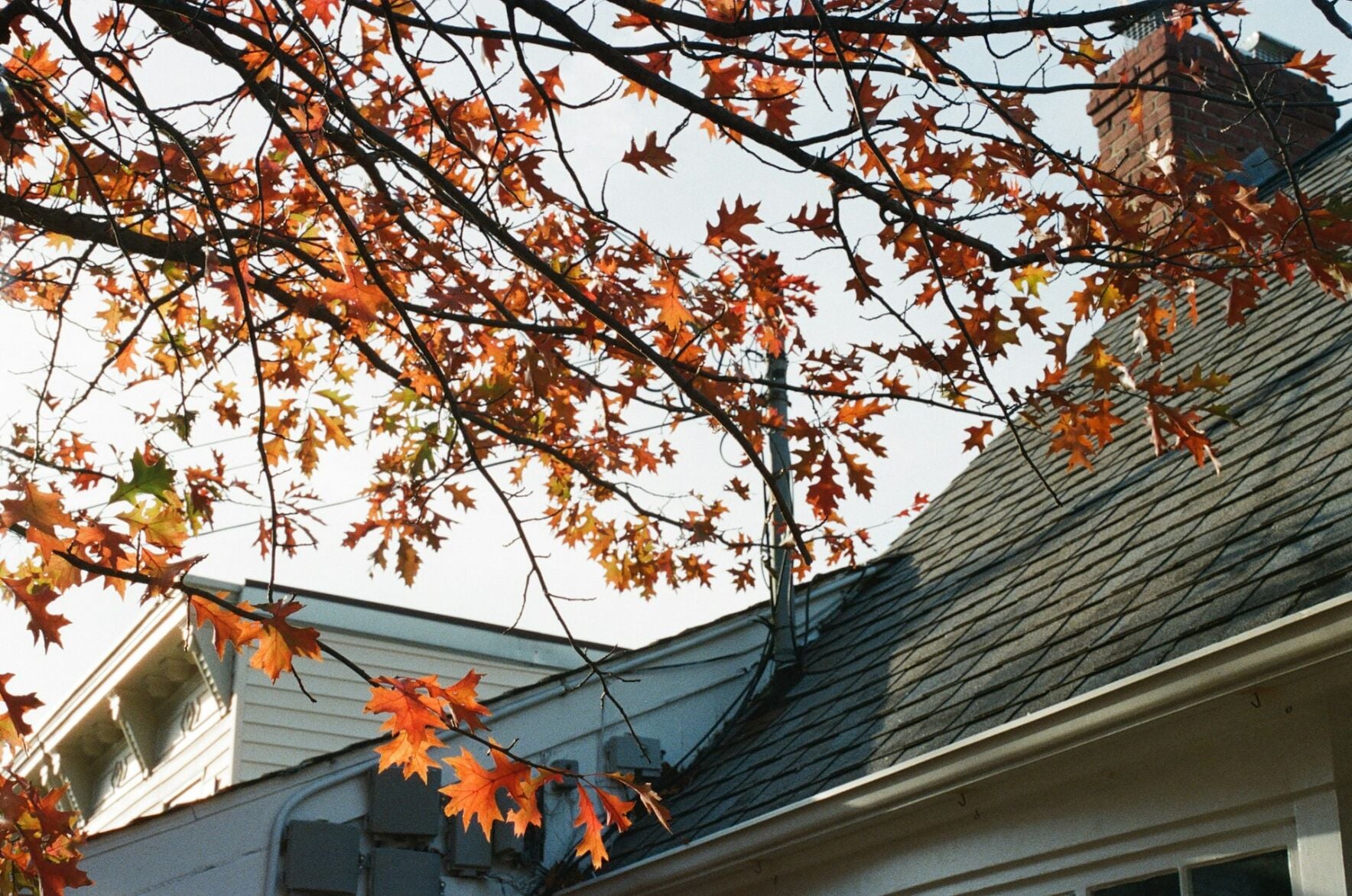 wvgazettemail.com - How the Fall Season Shapes the Real Estate Market