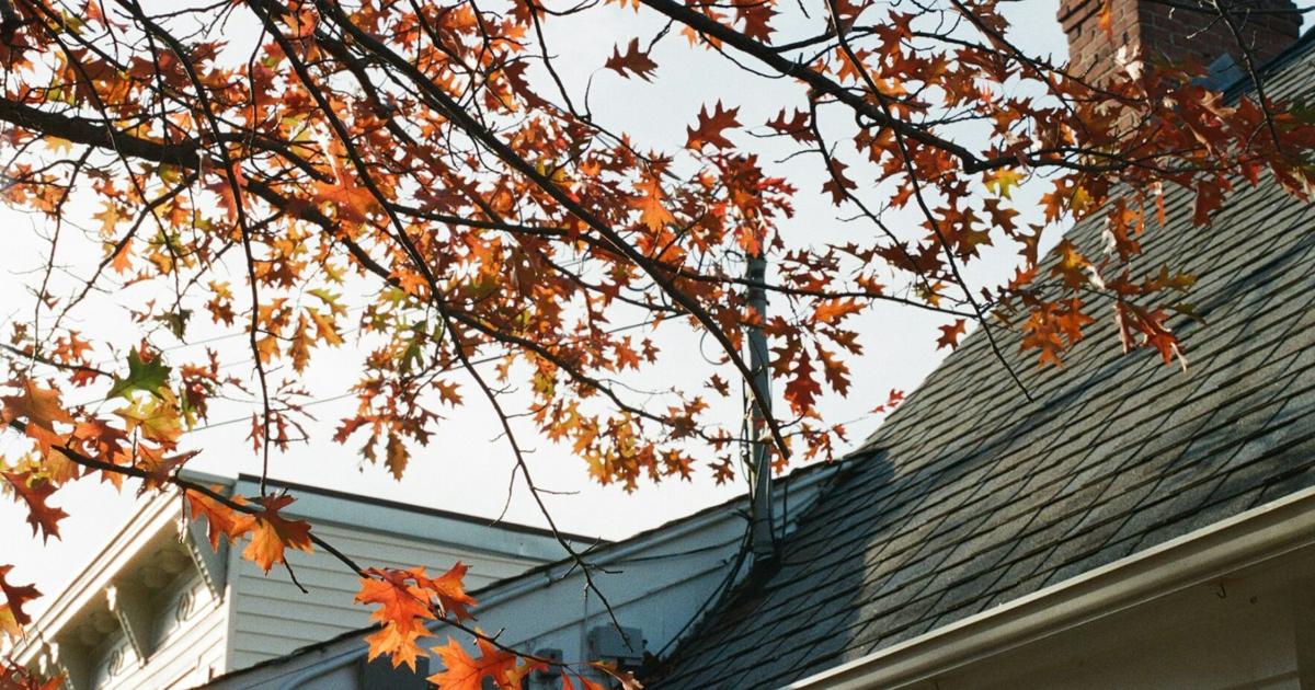 Fall Guys Environments How the Fall Season Shapes the Real Estate Market | Sponsored Content ...