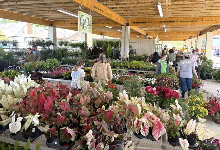 South Charleston Farmers Market