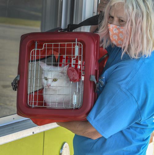 Pet Vaccination Clinic