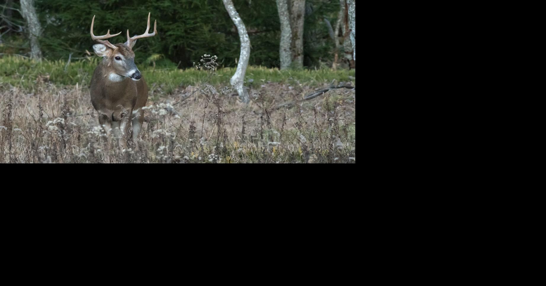 Vote on WV's buck limit delayed to 'give more folks time to respond