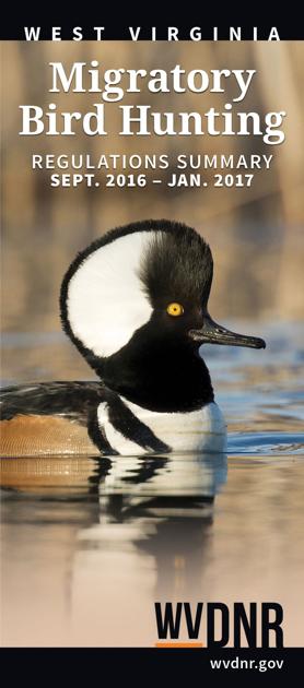 Wv S Duck And Migratory Bird Hunting Regulations Are Out Weeks Earlier Than Usual Outdoor Pursuits Wvgazettemail Com