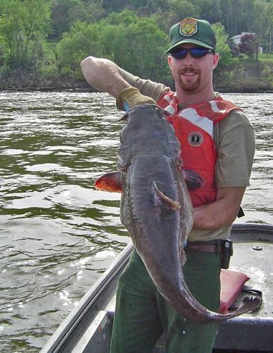 Homely catfish get lots of love from W.Va. anglers