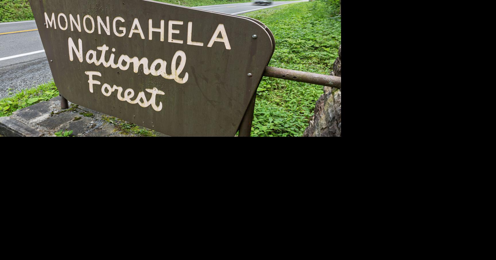 Opening dates set for Monongahela National Forest developed recreation ...