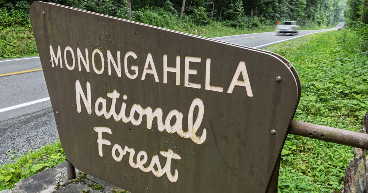 Opening dates set for Monongahela National Forest developed recreation ...