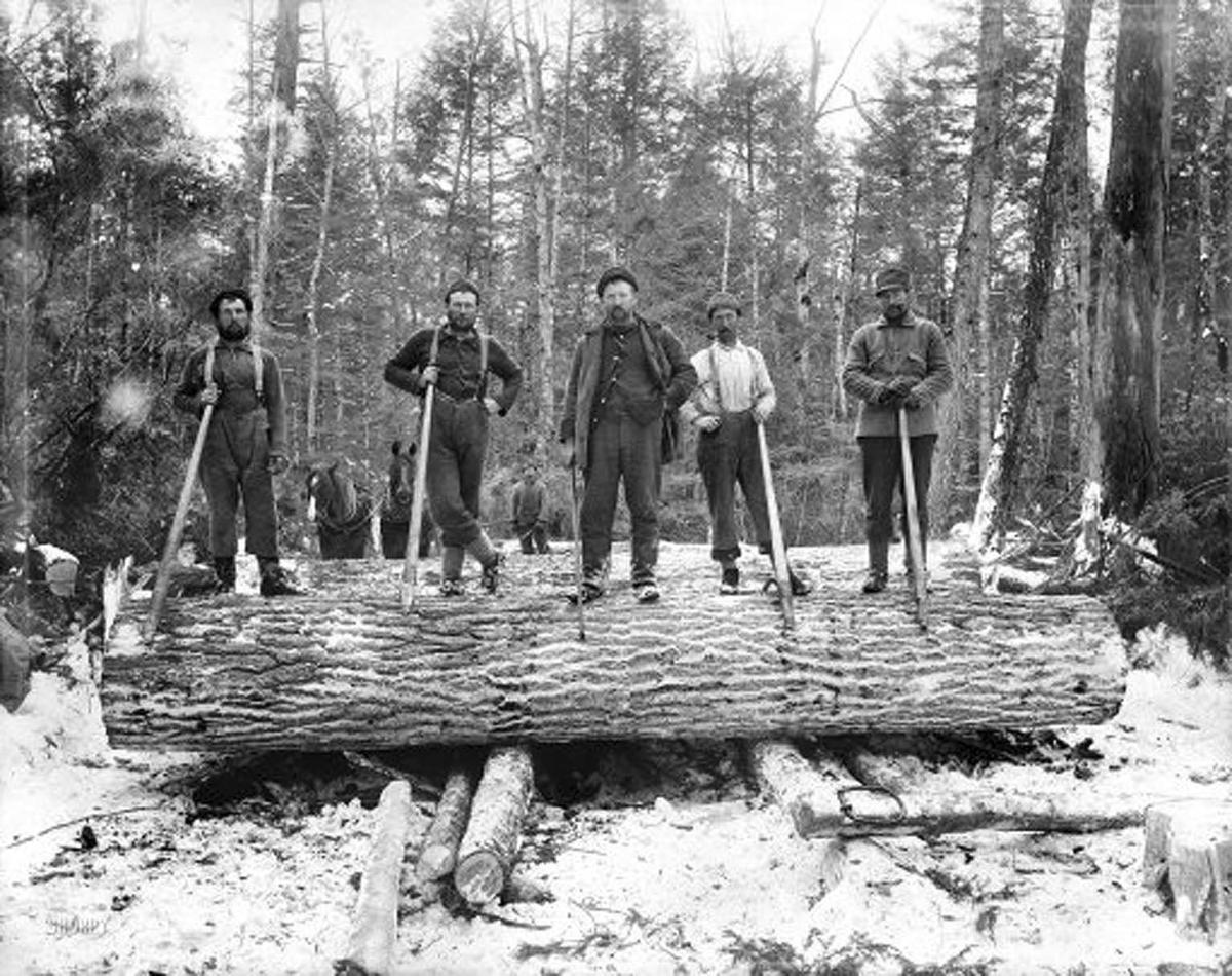 Looking back at WV's logging camps of yesteryear (Daily Mail WV