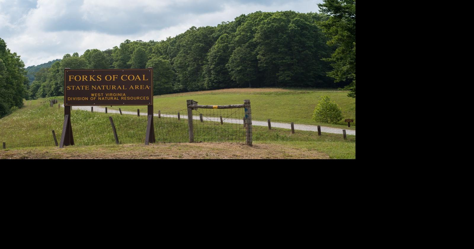 Forks of Coal ‘field day’ set for Sept. 23 News