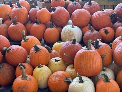 punkins.jpg