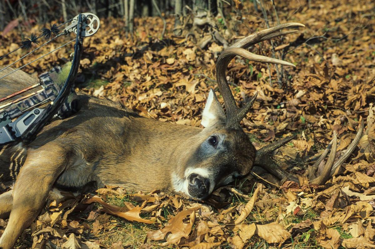 John McCoy The best and worst counties for deer hunting in WV