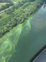 Residents cautioned to avoid Ohio River algae