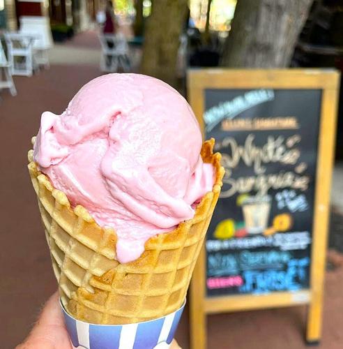 Ellen's Ice Cream