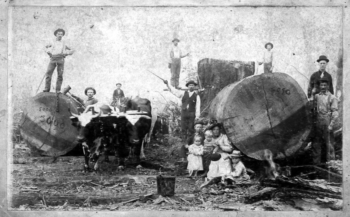 Looking Back At Wv S Logging Camps Of Yesteryear Daily Mail Wv Daily Mail Features Wvgazettemail Com