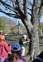 Cemetery to host maple tree tapping ceremony