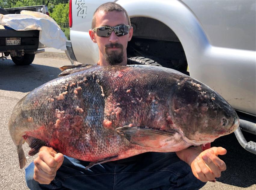 Ohio River Bowfishermen Kill Potential World Record Bighead Carp