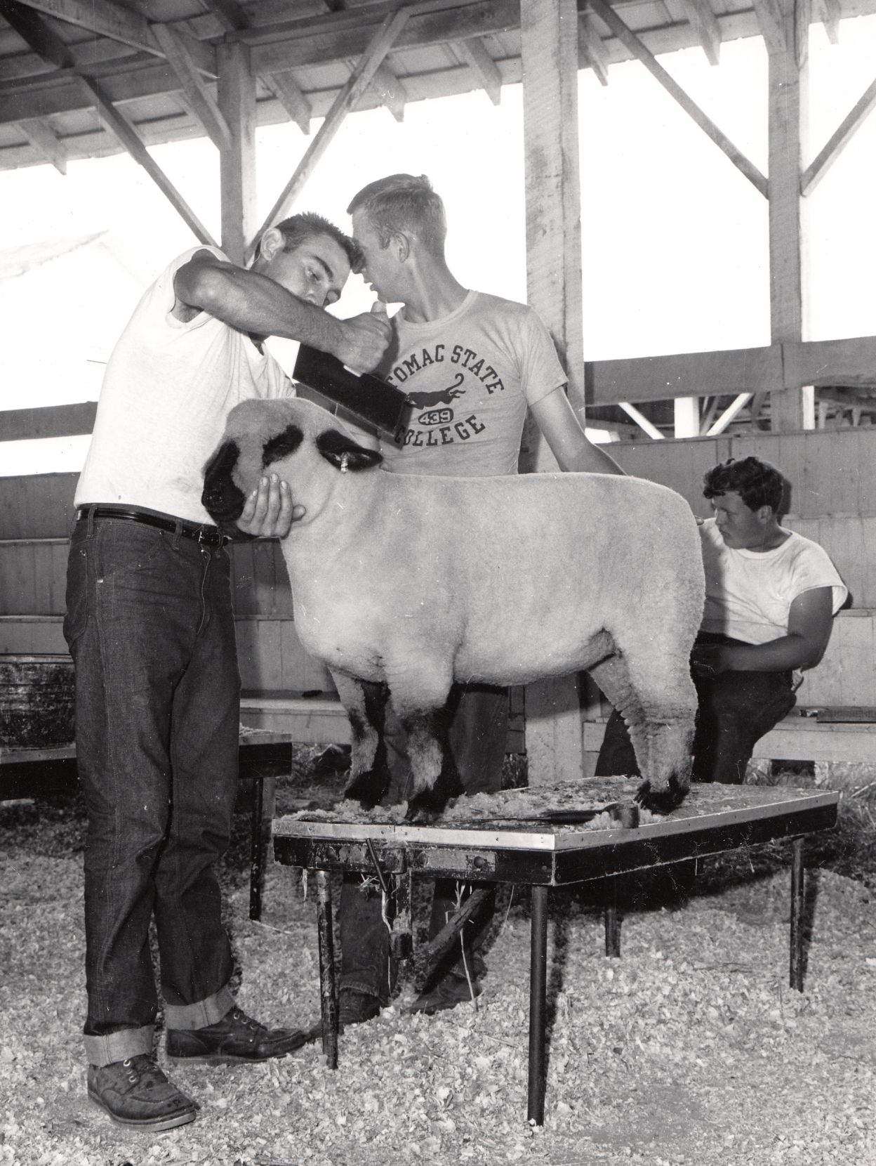 Vintage West Virginia: State Fair | Life & Arts | Wvgazettemail.com