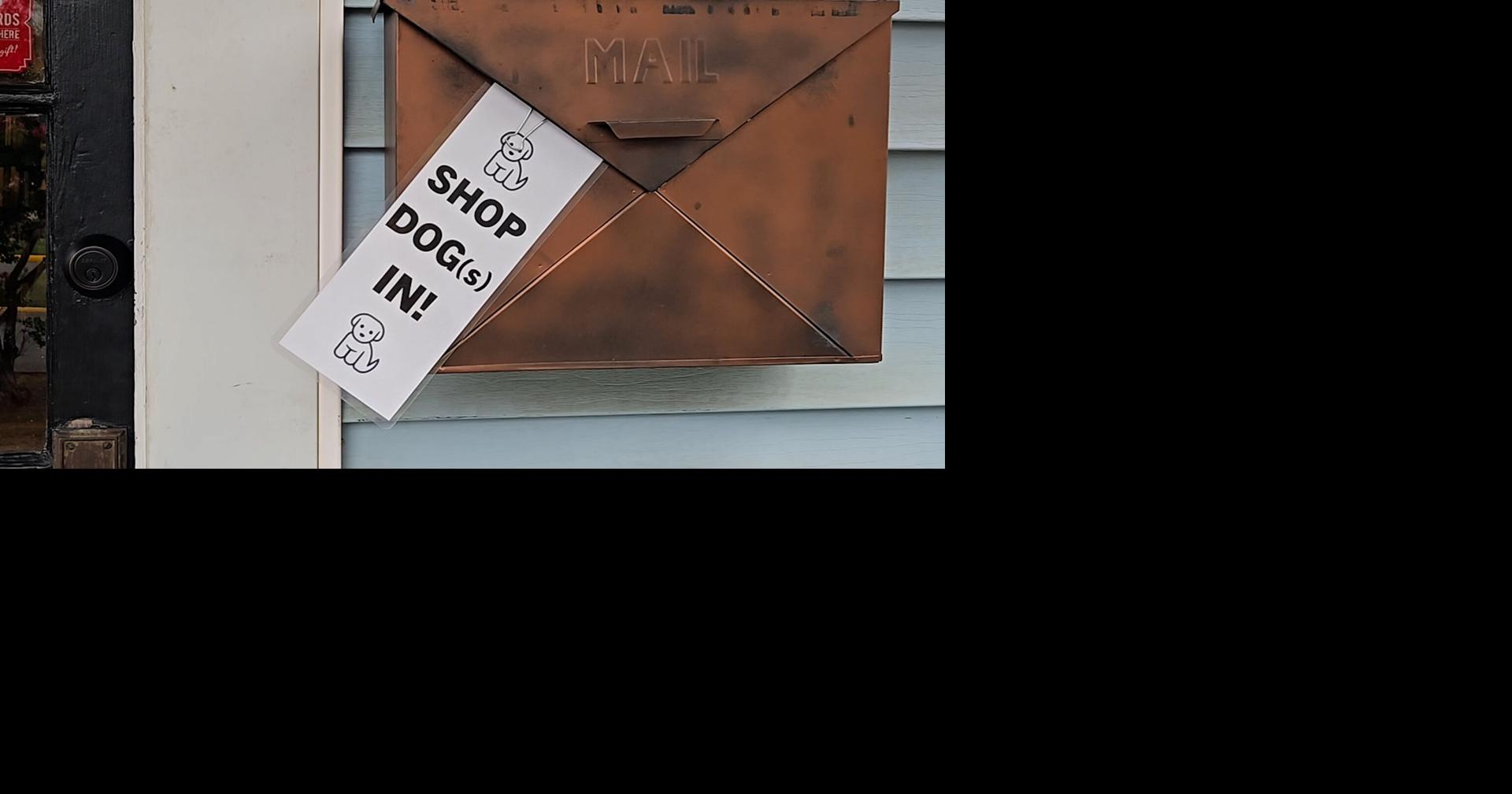 Downtown Tuscaloosa businesses bring comforts of home to work: Their dogs