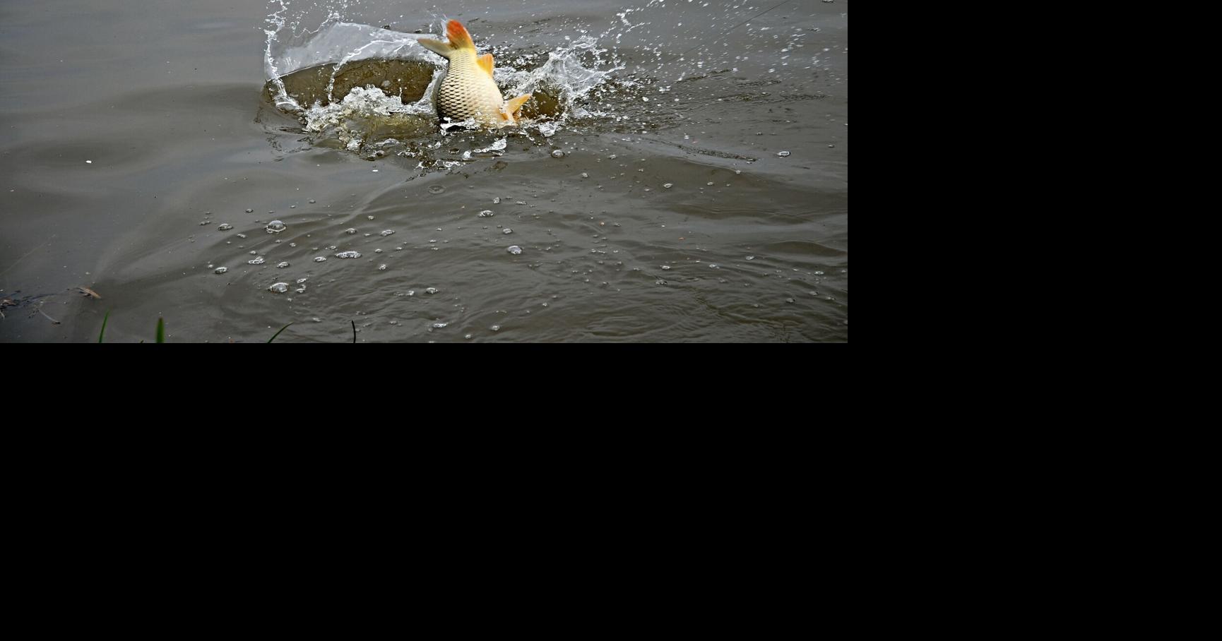 Alabama updates 2026 fish consumption advisory list