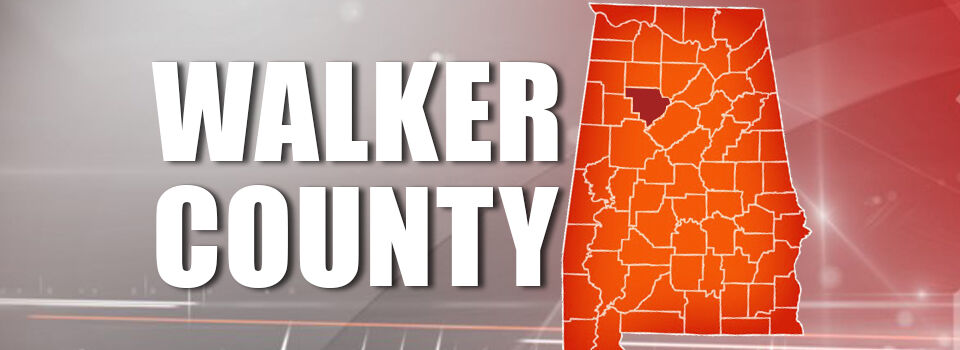 Walker County Municipal Election Results | Alabama News | wvua23.com