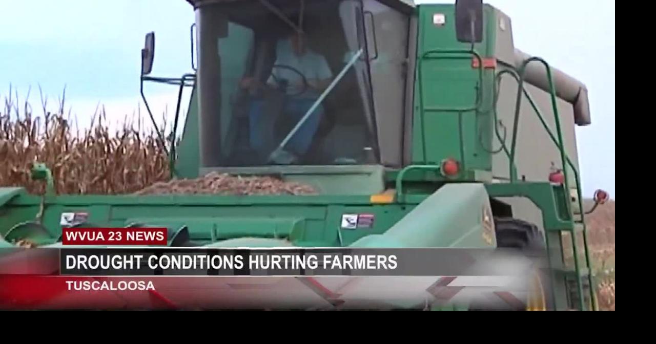 Gardeners battling dought