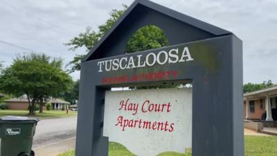 Friday Night Live series brings movie community engagement to Hay