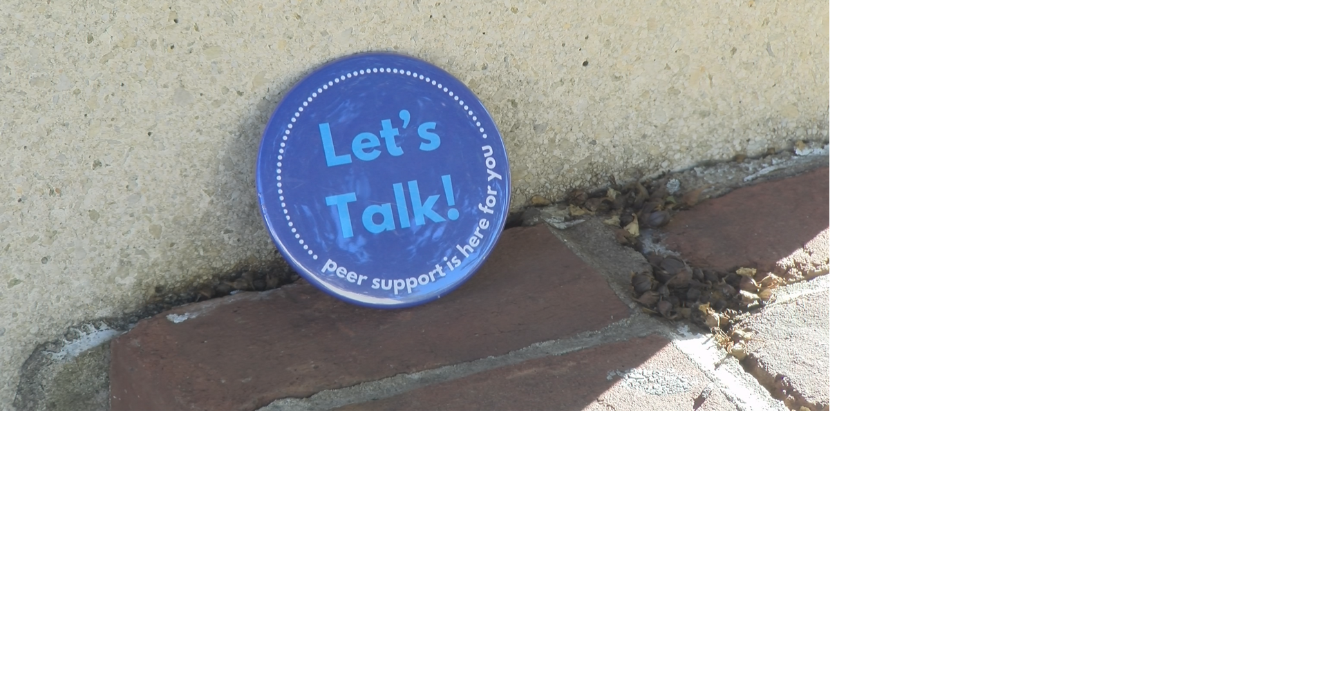 Tide Against Suicide's Blue Button Initiative Training | News | wvua23.com