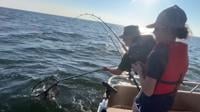 Fisherman catches, releases 67-pound orange carp - Indianapolis News, Indiana Weather, Indiana Traffic, WISH-TV