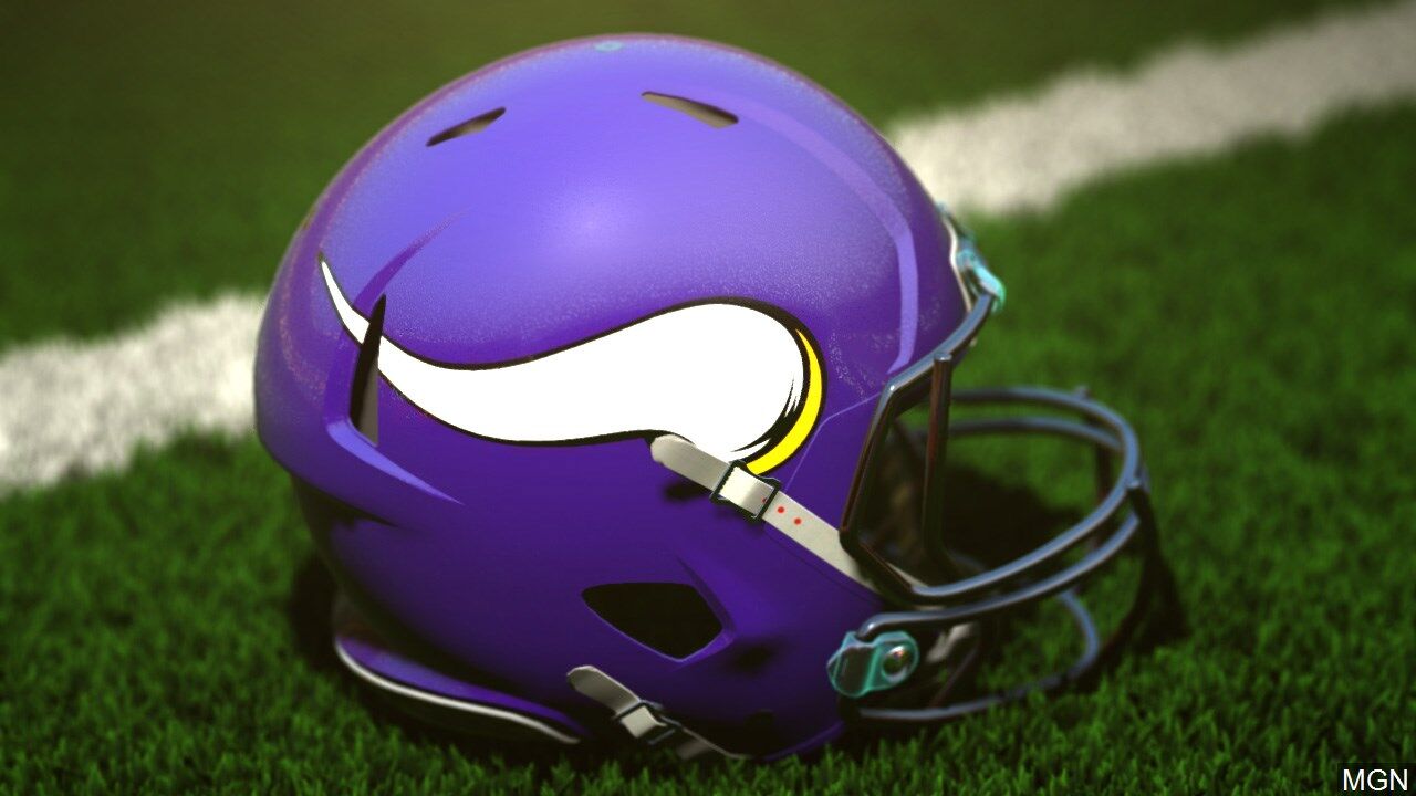 minnesota vikings standing