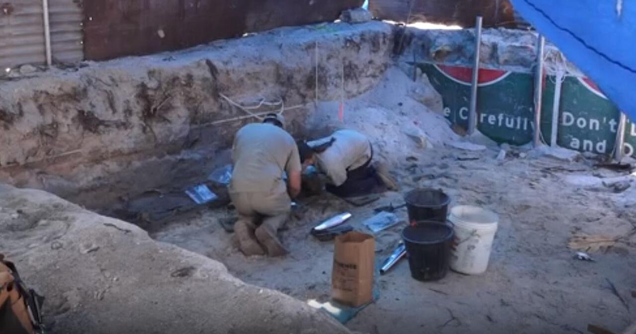 Veterans and scientists fulfill 'no man left behind,' returning long-lost American remains from lonely Pacific WWII battlefield - Vimarsana News