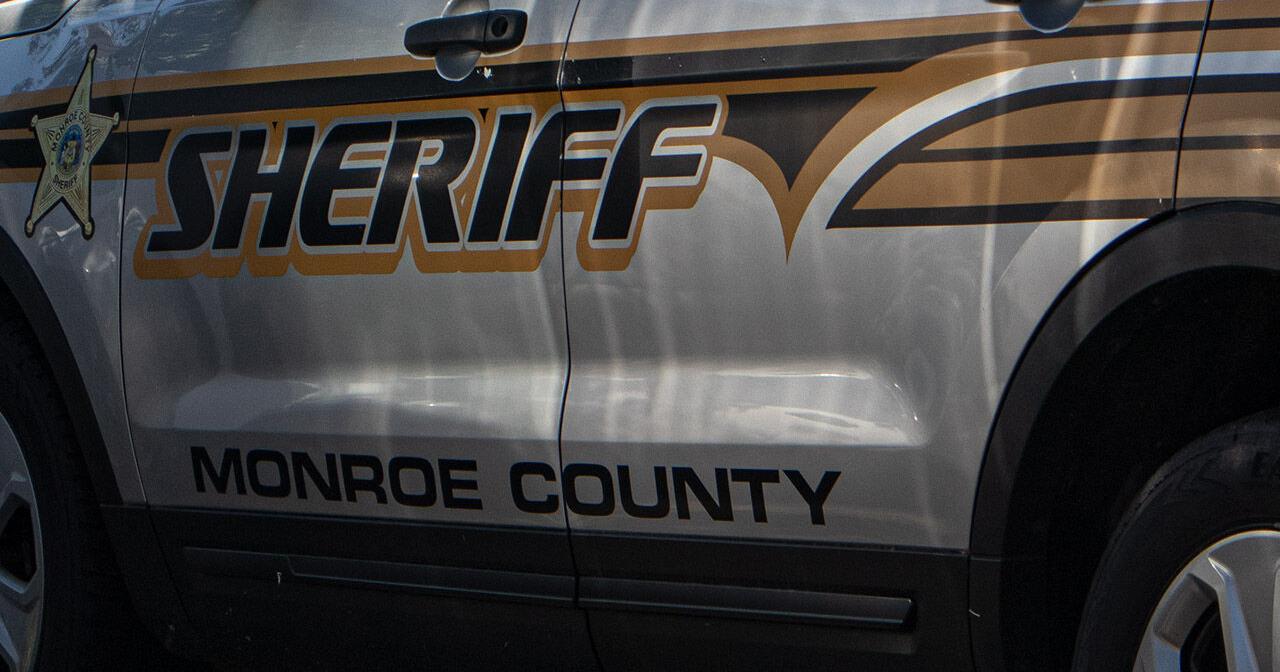 More than $125K worth of marijuana and mushrooms seized in Sparta - Vimarsana News