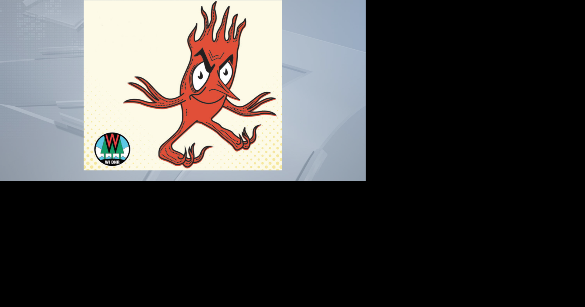 Wisconsin DNR revives mascot Torchy Timberloss