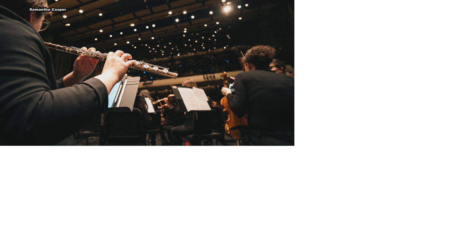LSO seeks to raise $3.5 million through new capital campaign
