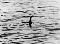 Hundreds join largest Loch Ness monster hunt in 50 years in