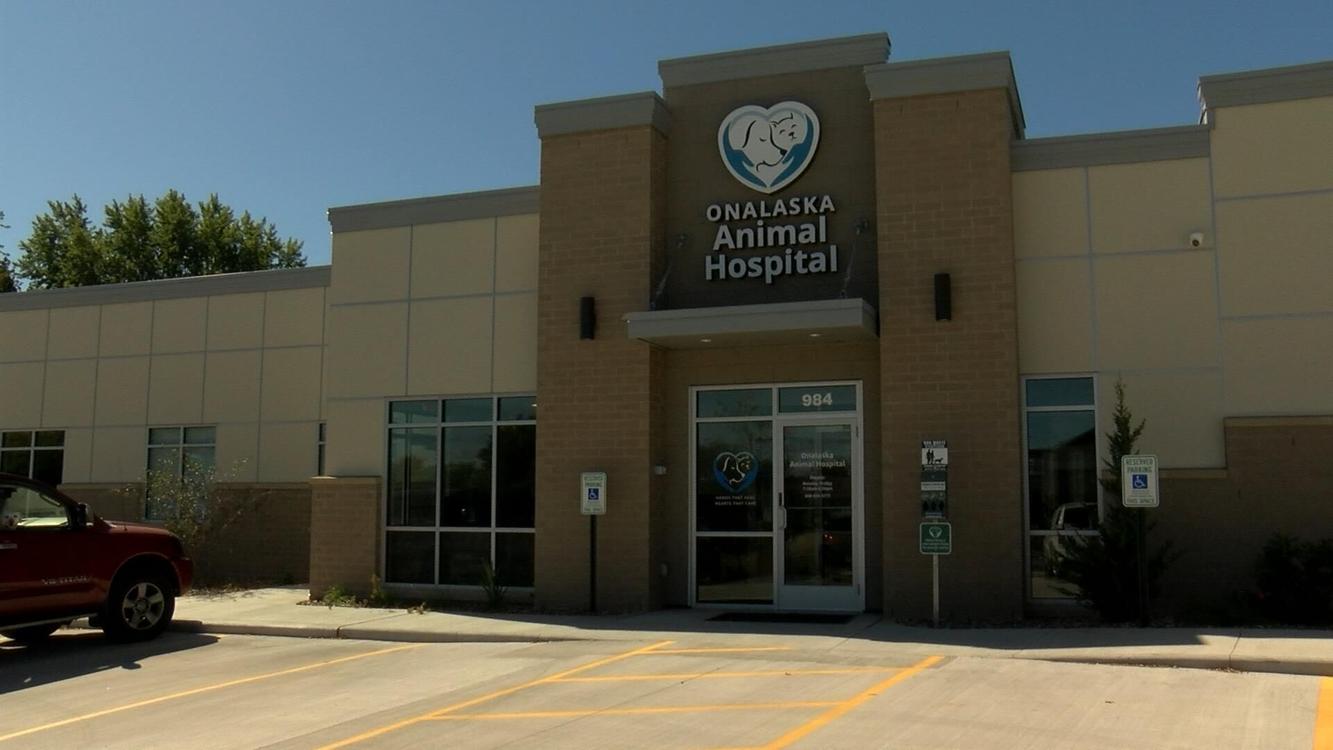 Onalaska Animal Hospital encourages dog owners to vaccinate against