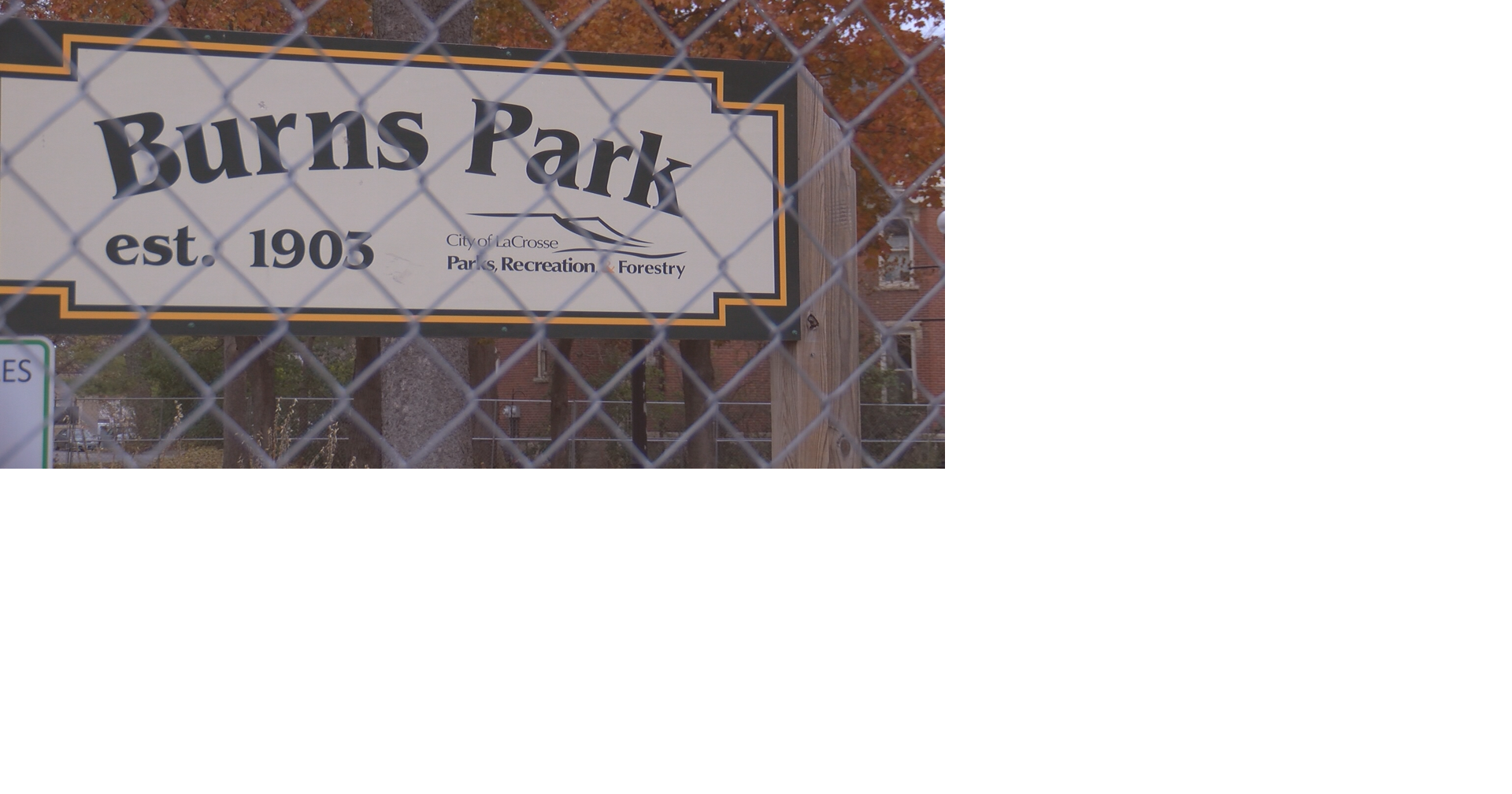 Community Picnic at the Park, Open or Not