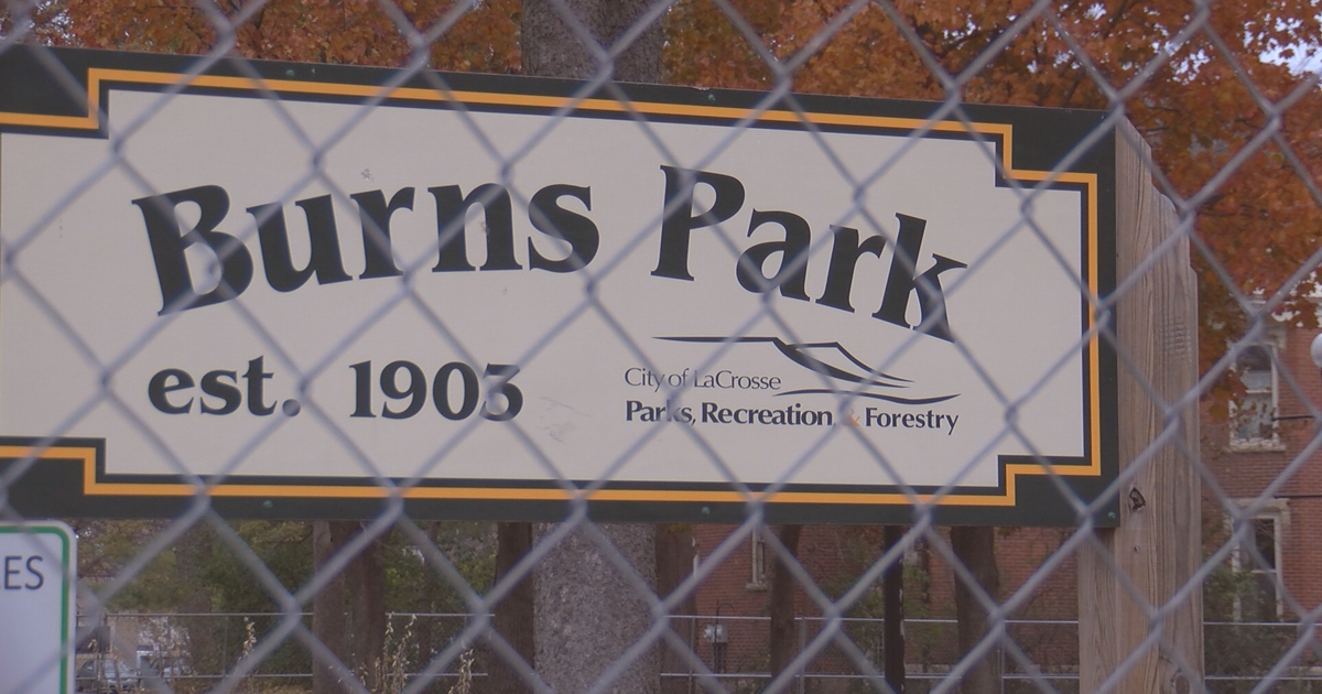 Community Picnic at the Park, Open or Not