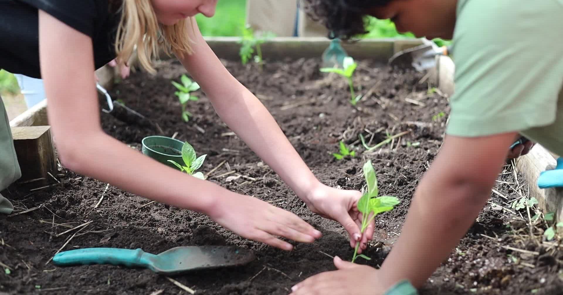 Wisconsin School Garden Day with GROW - Vimarsana News