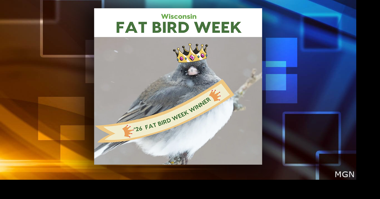 UPDATE: Jiggly Junco voted as winner of Natural Resources Foundation's ...