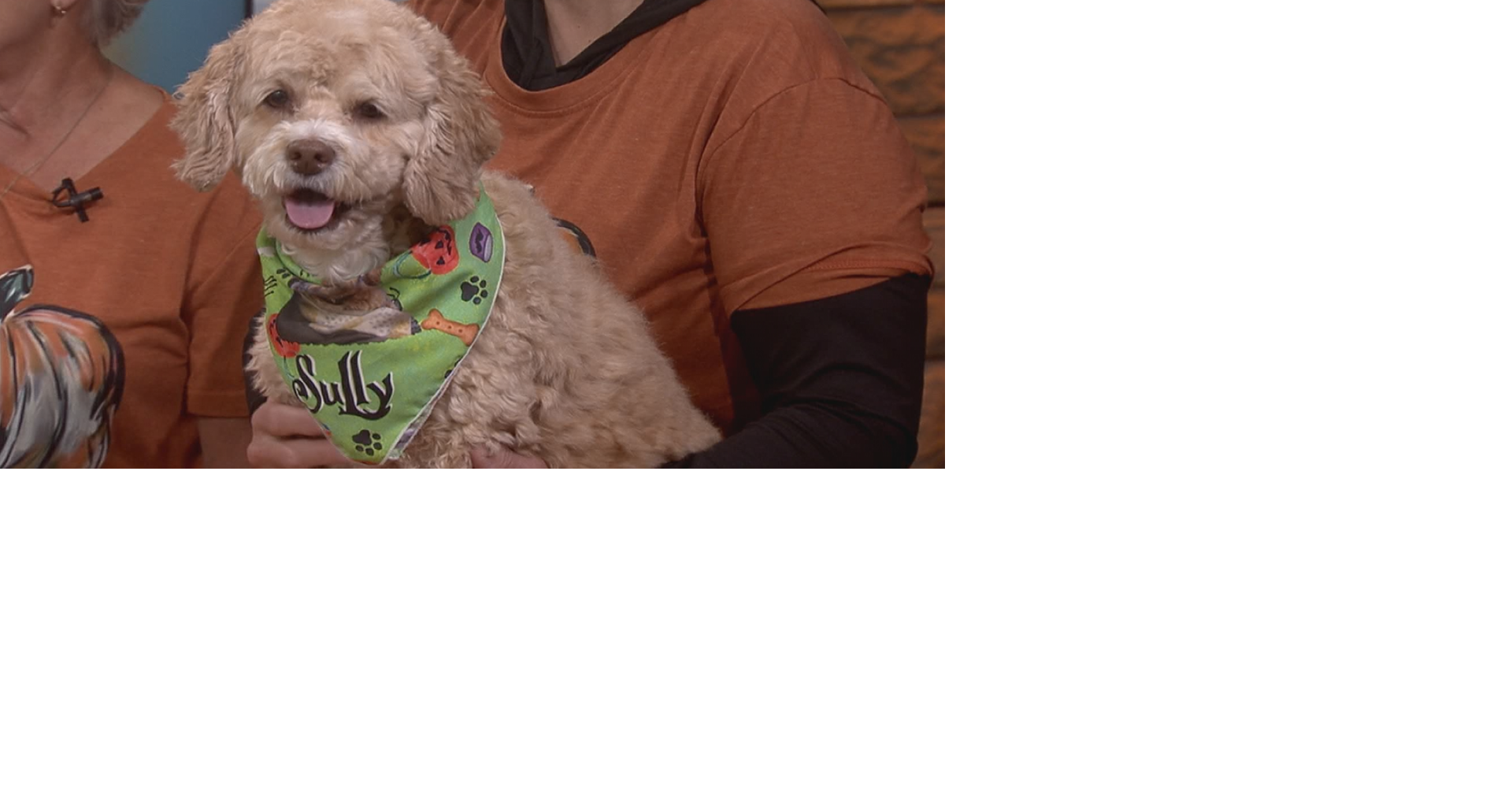 Sully invites you to 5th annual Pumpkin Fest