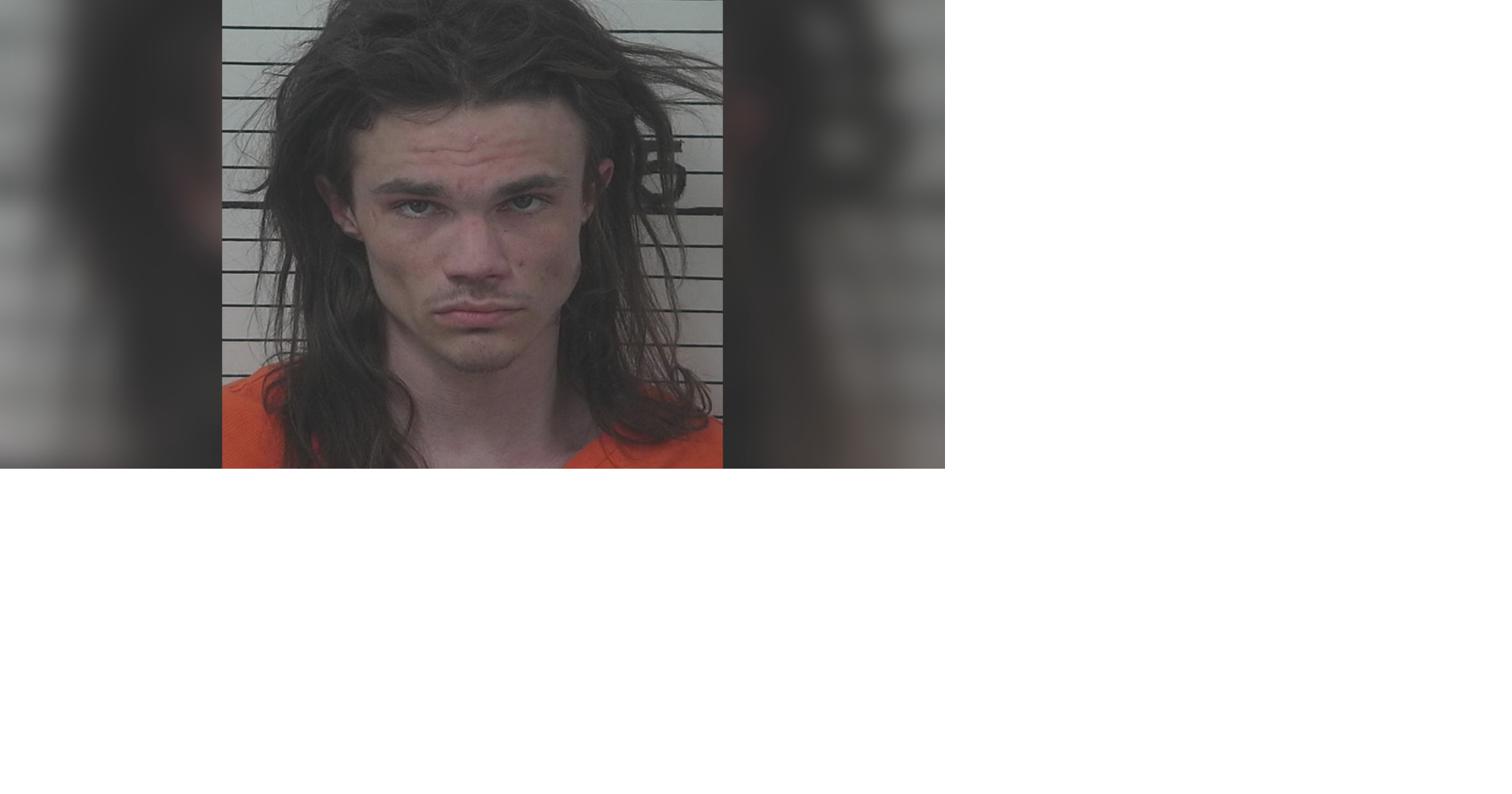 Whitehall man sentenced to one year probation after cars shot, damaged