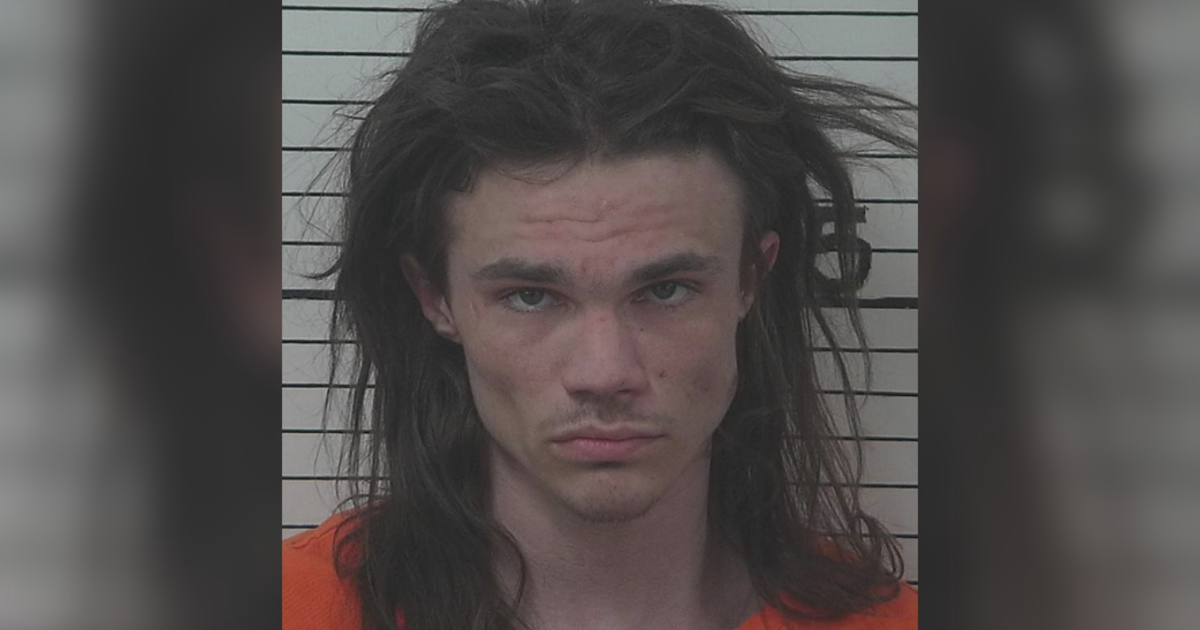 Whitehall man sentenced to one year probation after cars shot, damaged