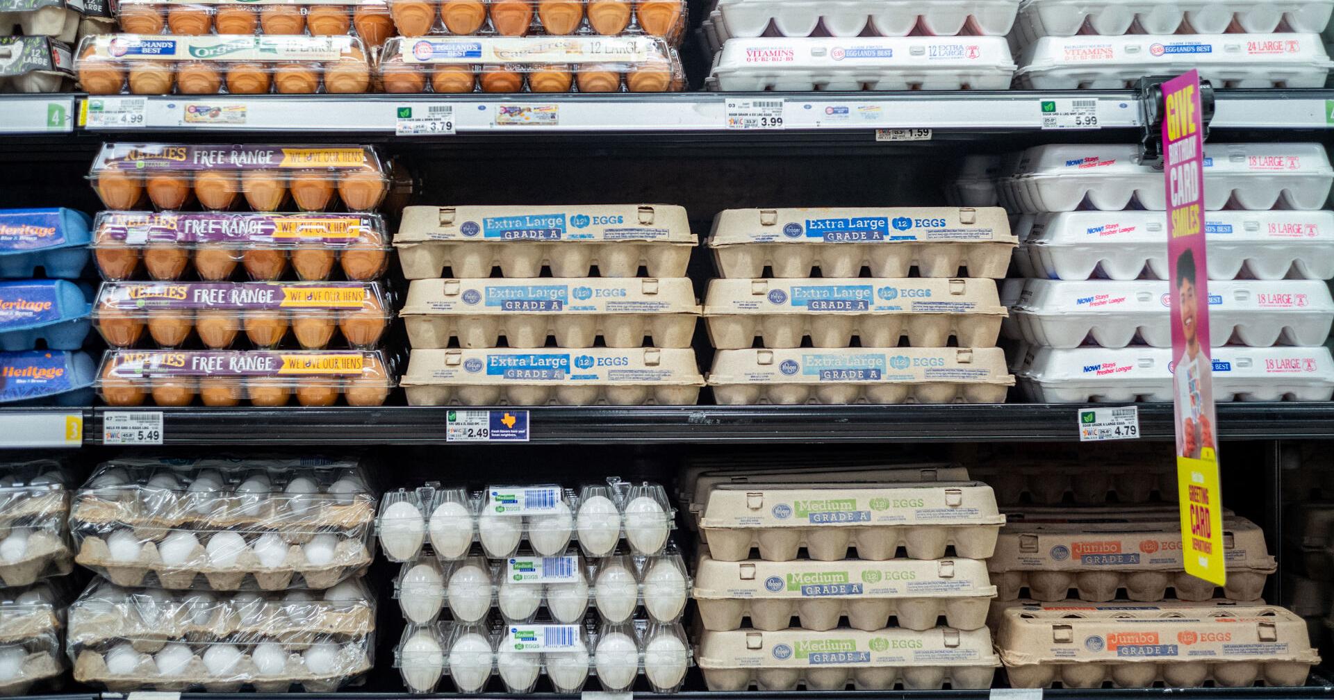 Why eggs have been so expensive this year - Vimarsana News