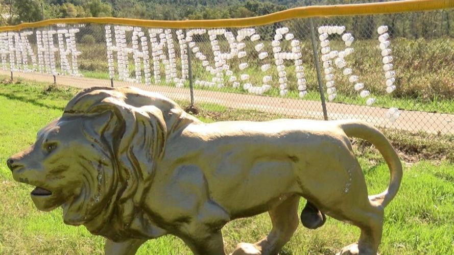 Collaborating to turn negatives into positives News 19 Daybreak